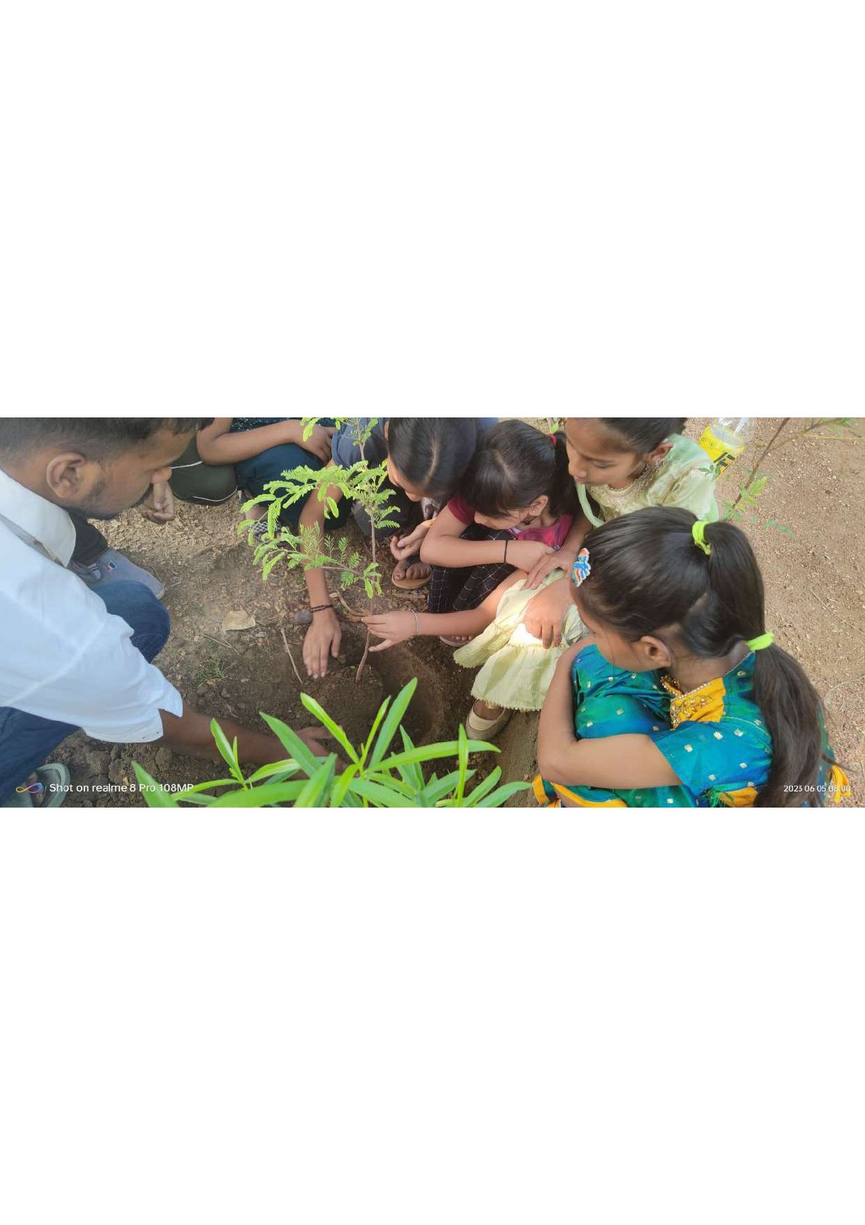 Plantation drive